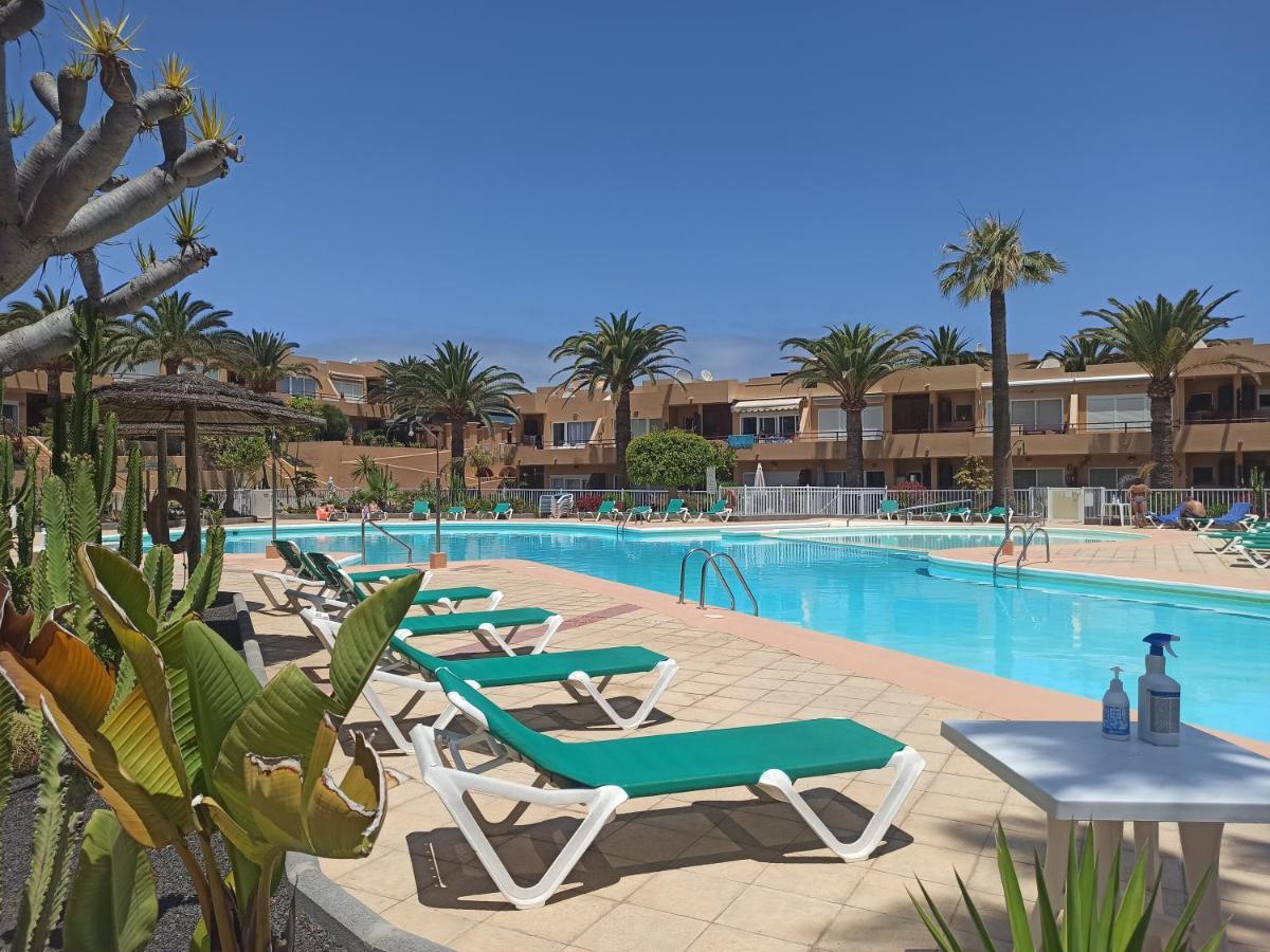 Alicebungalowpoolview-Summer Corralejo Eksteriør bilde