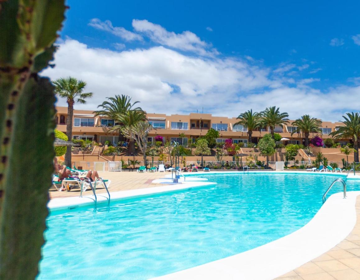 Alicebungalowpoolview-Summer Corralejo Eksteriør bilde